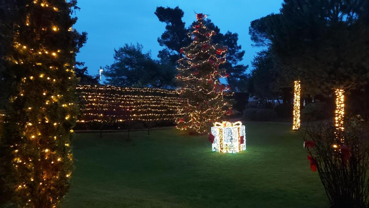 Apartment Tina Opatija Dış mekan fotoğraf