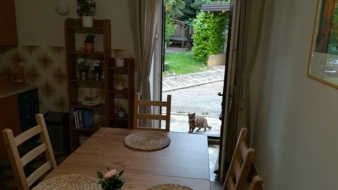 Apartment Tina Opatija Dış mekan fotoğraf